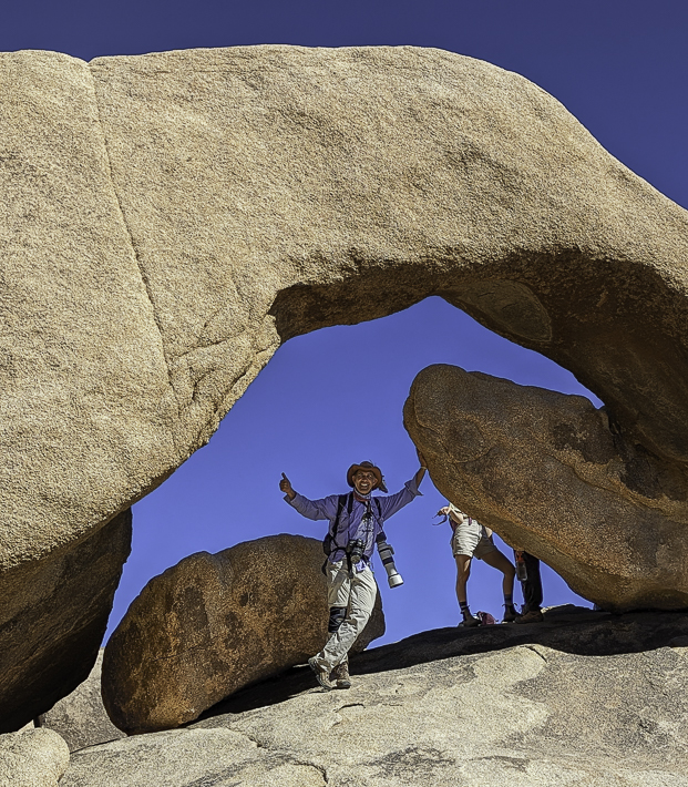 Desert Biogeography of Joshua Tree National Park